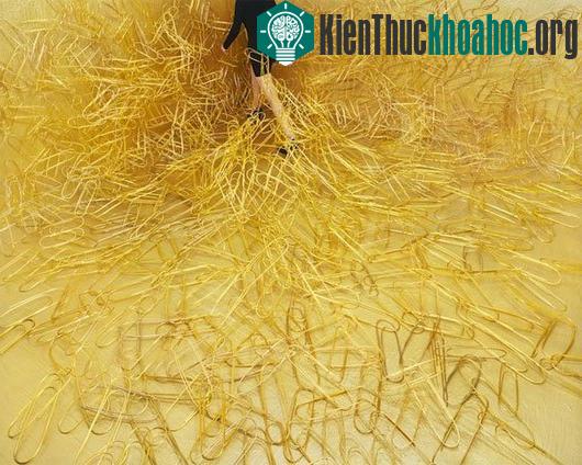 Thế giới thần tiên và những câu chuyện trong ảnh đẹp ngỡ ngàng
