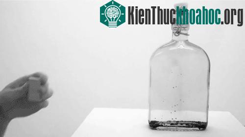20 ảnh động tuyệt đẹp về các hiện tượng khoa học- ảnh 12