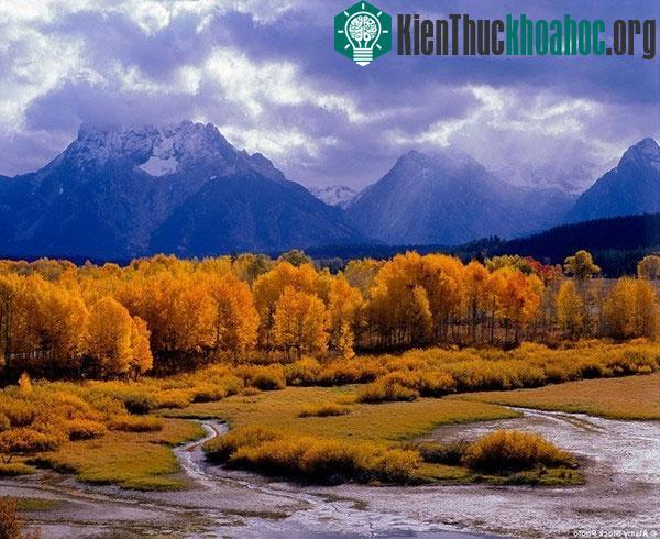Những bức tranh "mùa thu vàng" tuyệt đẹp ở các nước- ảnh 13