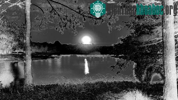 Mặt Trời lặn tại hồ Morton Arboretum, Illinois (Mỹ). Ảnh chụp bởi Raz Akhter bằng điện thoại Moto X.