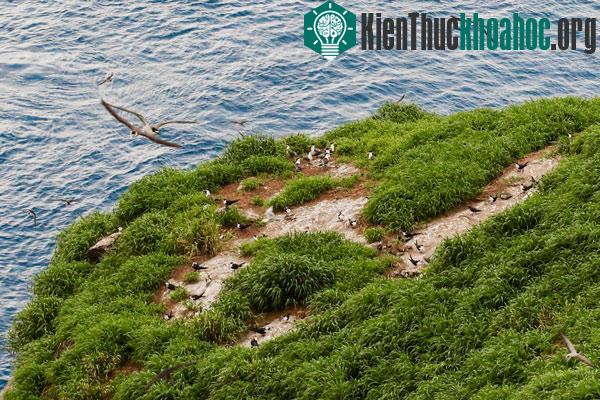 Đảo đá khổng lồ độc nhất vô nhị trên Biển Đông