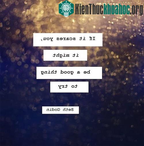 13. “Nếu điều gì khiến bạn sợ hãi thì đó cũng có thể là động lực để cố gắng” - Seth Godin