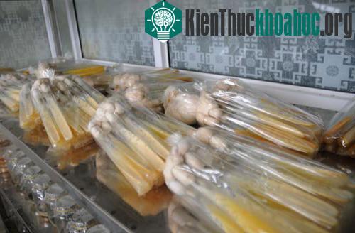 Theo TS Phạm Văn Nhạ, thành công quan trọng nhất trong nghiên cứu sản xuất đông trùng hạ thảo là lưu giữ được giống thuần chủng trong thời gian dài.
