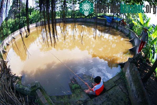 Câu cá ngày nghỉ học ở giếng làng Phương Ngoại, xã Trung Châu, huyện Đan Phượng