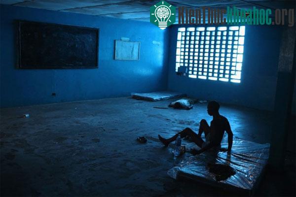 Sức khỏe của Ibrahim Fambulle bị virus Ebola tàn phá khiến anh trở nên ốm yếu và mệt mỏi. Ibrahim Fambulle nằm điều trị trong một phòng học được trưng...