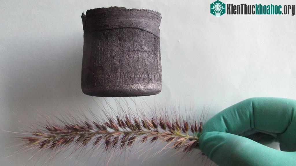 Raphene Aerogel – Một vật liệu được phát minh bởi người Trung Quốc, nhẹ hơn 7 lần so với không khí