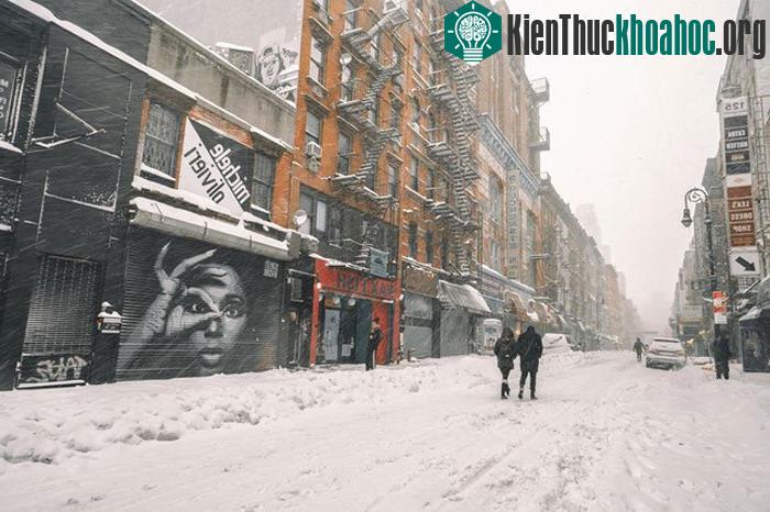New York không chỉ đẹp bởi rừng nhà chọc trời nơi hiện thực hoá giấc mơ nhưn những gì mà Alicia Keys từng hát. New York còn đẹp ở sự tinh khôi sương t...