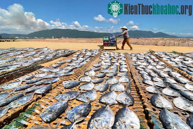 Những khoảnh khắc tuyệt đẹp về cuộc sống vùng Nam Trung Bộ