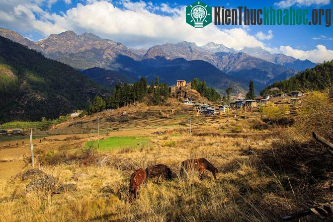 Những khoảnh khắc tuyệt đẹp ở mảnh đất huyền bí Bhutan