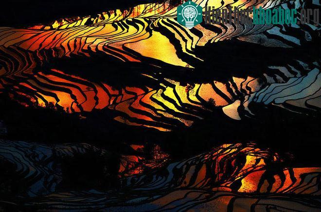 Sững sờ trước những ruộng bậc thang đẹp nhất trên khắp thế giới- ảnh 13