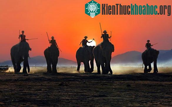 Tác phẩm "Hoàng hôn đại ngàn" chụp 2014 tại Hồ Lak, tỉnh Đak Lak vào một buổi chiều cho thấy những gợn sóng sục sôi trong huyết quản của ngư...