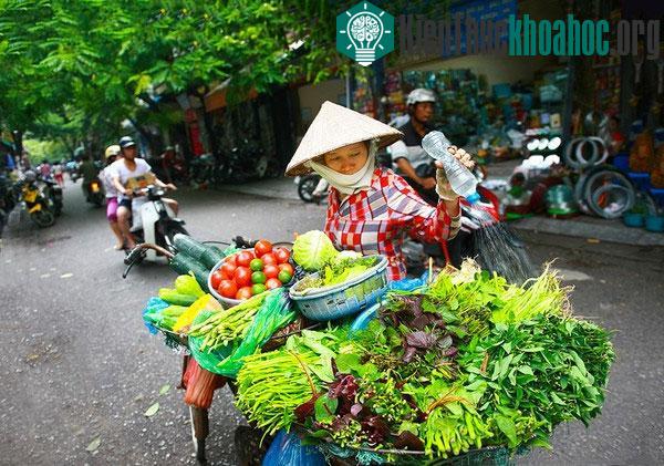 Bộ ảnh tuyệt đẹp về "Hà Nội - Những gánh hàng rong"