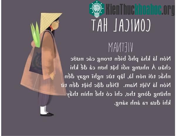 The Conical Hat from Vietnam