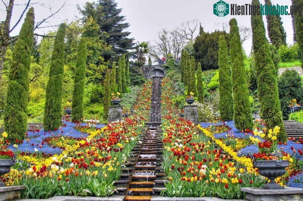 Mainau, Đức