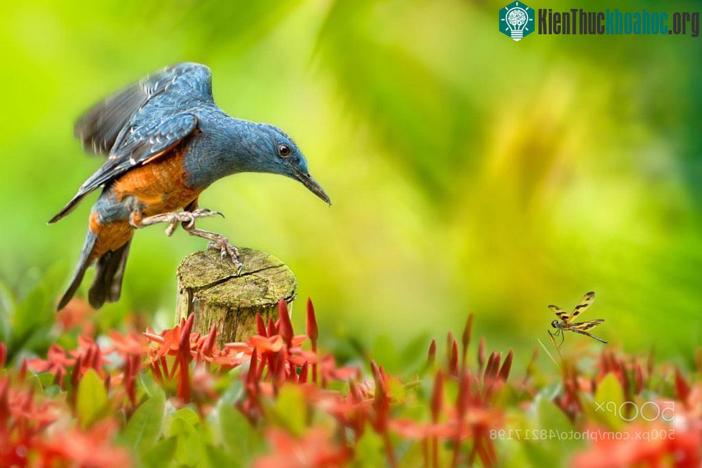 Lớn và nhỏ!