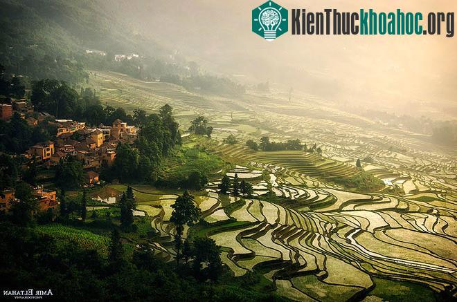 Sững sờ trước những ruộng bậc thang đẹp nhất trên khắp thế giới- ảnh 14