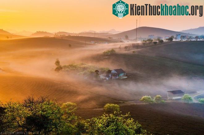 Hãy một lần thử ngắm nhìn bình minh, bạn sẽ thấy Mộc Châu đẹp như thế nào- (Ảnh: meogia)