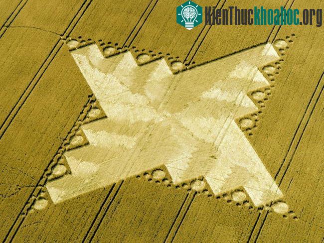Những vòng tròn bí ẩn trên cánh đồng- ảnh 14
