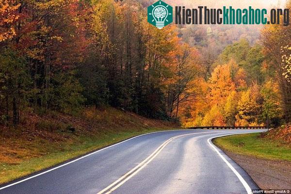 Những bức tranh "mùa thu vàng" tuyệt đẹp ở các nước- ảnh 15