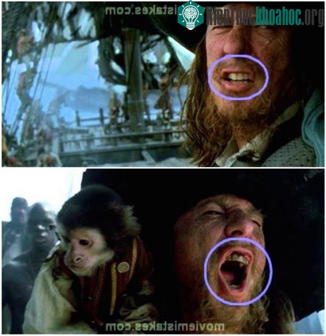 Trong "Pirates of the Caribbean: The Curse of the Black Pearl" (Cướp biển vùng Caribbe: Lời nguyền của tàu ngọc trai đen), răng của thuyền t...