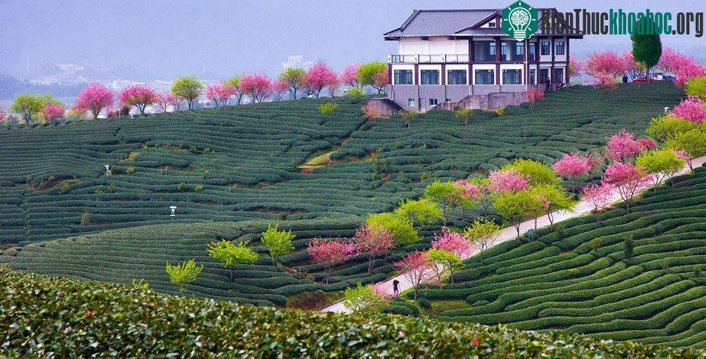 Cảm nhận không khí xuân đang ùa về - (Ảnh: zhangning)