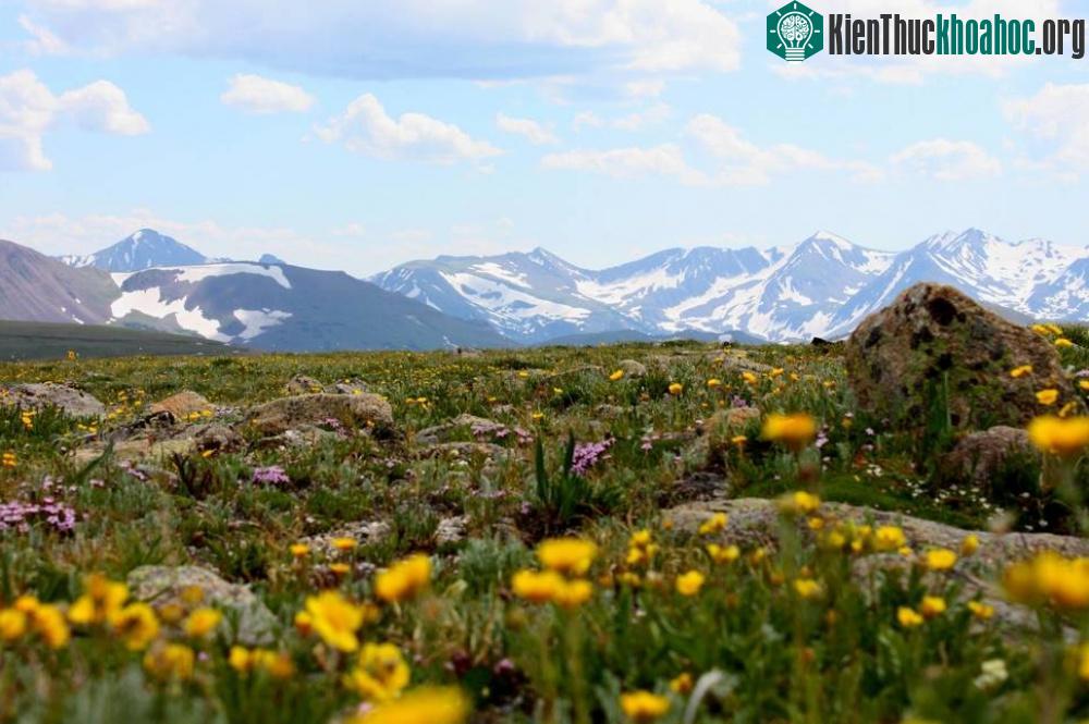 The Rocky Mountains, Colorado