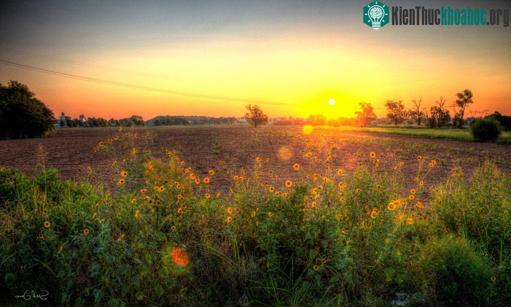 Những bức ảnh Lens Flare tạo nên hiệu ứng ánh sáng thú vị ảnh 15