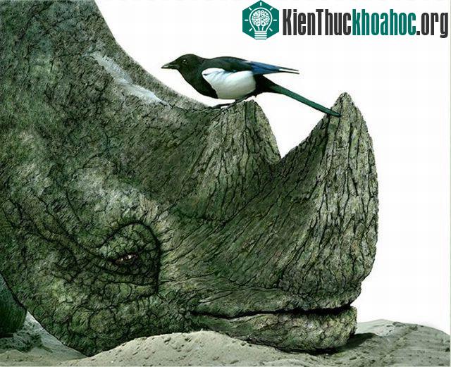 Những hình ảnh ngộ nghĩnh từ động vật và thực vật- ảnh 15