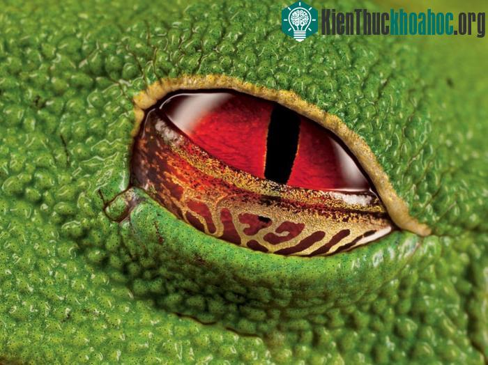 100 bức ảnh "đẹp khó tin" chưa từng qua photoshop- ảnh 15