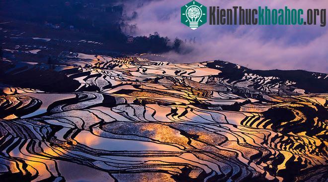 Sững sờ trước những ruộng bậc thang đẹp nhất trên khắp thế giới- ảnh 15