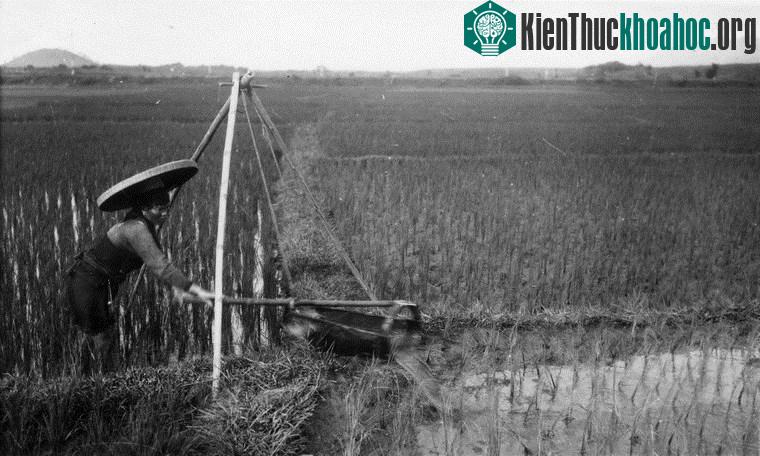 Chùm ảnh đẹp quyến rũ về Hà Nội năm 1939
