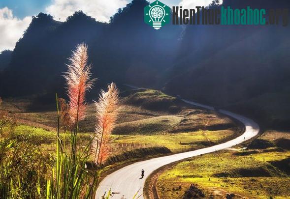 Tác phẩm " S- Việt Nam" của Ngô Quang Huy chụp hình con đường qua Loóng Luông thuộc huyện Mộc Châu, tỉnh Sơn La uốn lượn như hình hài Tổ quố...