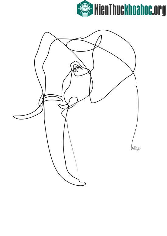 Ổ khóa