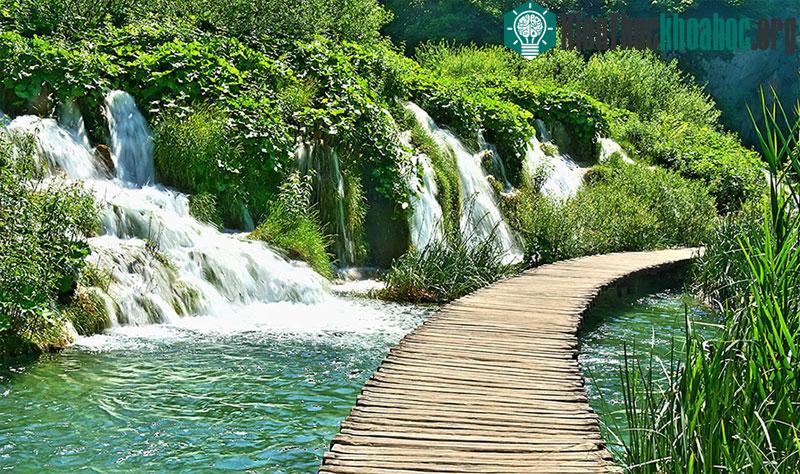 Đường mòn qua hồ Plitvice ở Croatia nằm trong Công viên Quốc gia Croatia