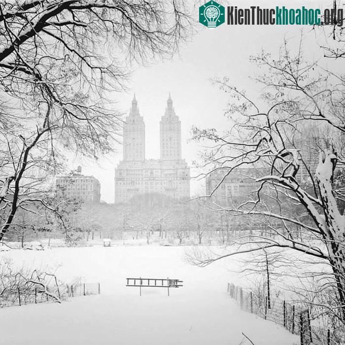 Vivienne hiện đang theo đuổi dự án có tên "NY through the lens" (NY qua ống kính), tập hợp những khoảng khắc rất New York khi cô lang thang ...