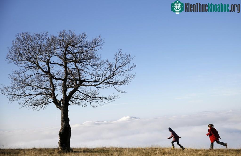 Những đứa trẻ chơi đùa cạnh một thân cây, phía dưới là biển sương mù bao phủ thị trấn Zenica của Bosnia.