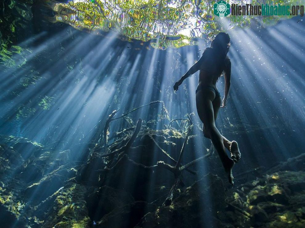 Quintana Roo, Mexico: Ánh mặt trời xuyên qua làn nước trong vắt của hố sụt Cristalino ở Quintana Roo khi một cô gái đang bơi lên mặt nước. Người Maya ...