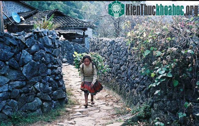 Nắng dát vàng Hà Giang những ngày đầu đông