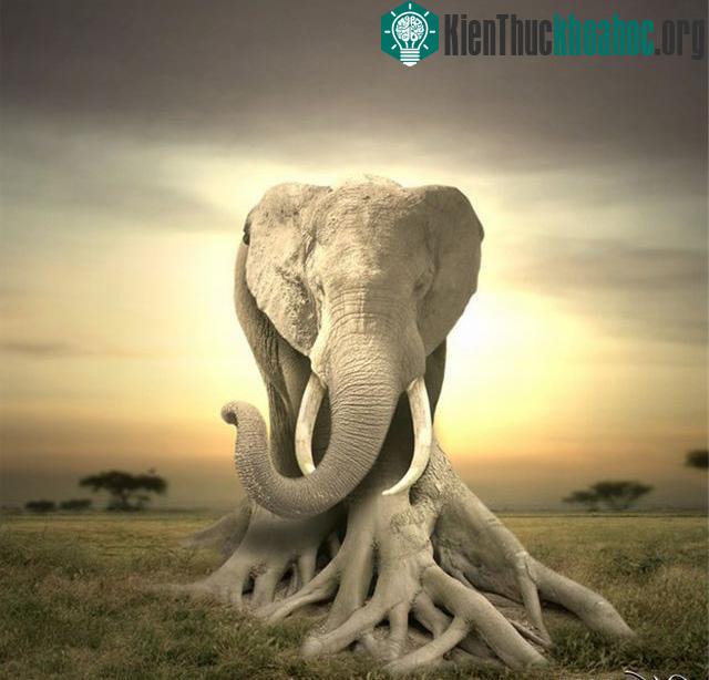 Những hình ảnh ngộ nghĩnh từ động vật và thực vật- ảnh 16