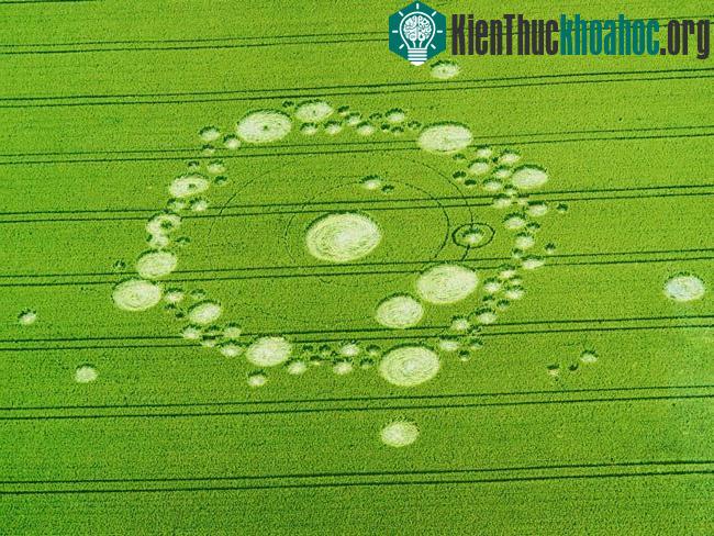 Những vòng tròn bí ẩn trên cánh đồng- ảnh 16