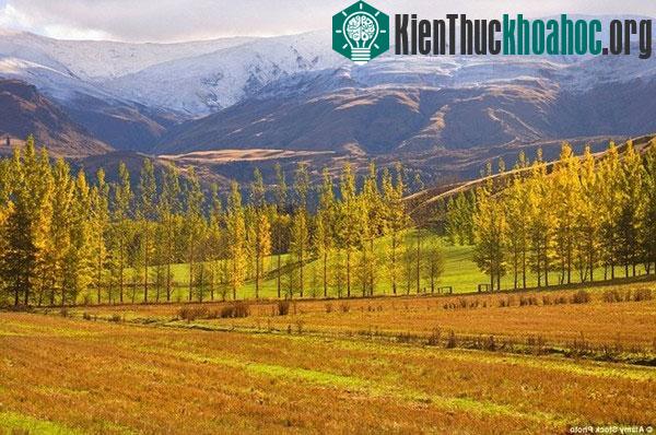 Những bức tranh "mùa thu vàng" tuyệt đẹp ở các nước- ảnh 17
