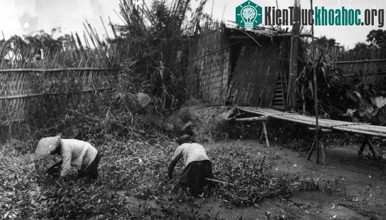 Chùm ảnh đẹp quyến rũ về Hà Nội năm 1939