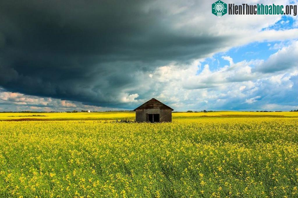 Cảnh vật độc đáo và bí ẩn trên toàn thế giới ảnh 17