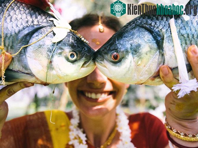 100 bức ảnh "đẹp khó tin" chưa từng qua photoshop- ảnh 17