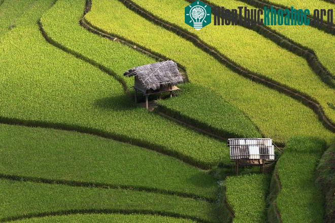 Sững sờ trước những ruộng bậc thang đẹp nhất trên khắp thế giới- ảnh 17