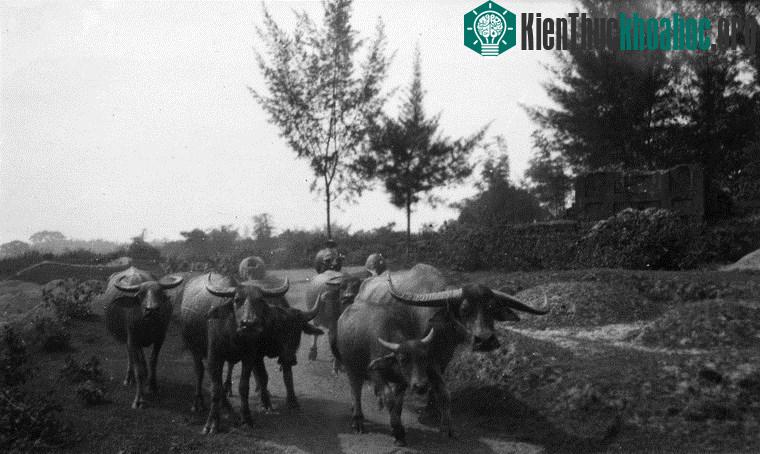 Chùm ảnh đẹp quyến rũ về Hà Nội năm 1939