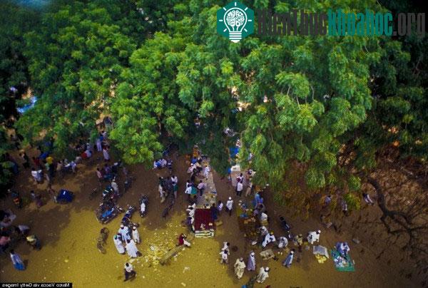 Cảnh buôn bán tại một khu chợ nhỏ ở châu Phi.