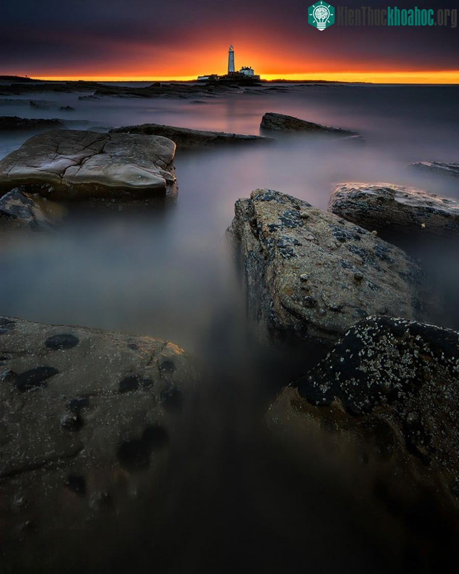 Bait Island, Anh