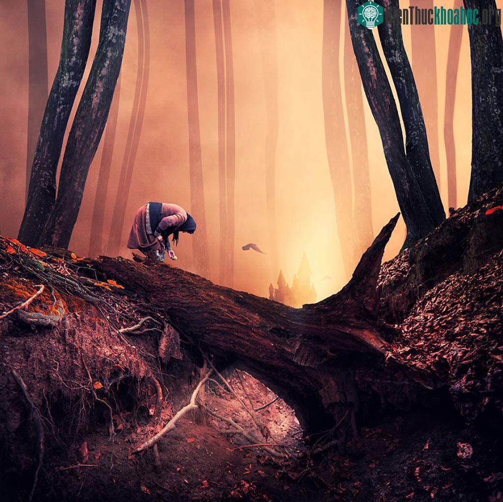 The Lies about dark forests - Cạm bẫy trong rừng sâu.