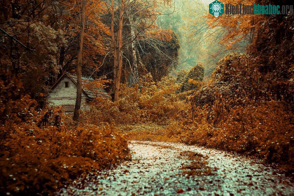 Cảnh vật độc đáo và bí ẩn trên toàn thế giới ảnh 18